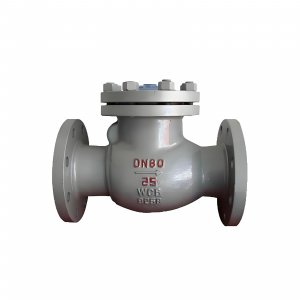 DN50 PN25 介質(zhì)：甲胺，溫度：80℃止回閥