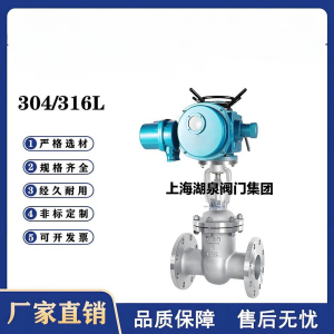 Z941W-16P，DN250，CF8/F304不銹鋼電動閘閥